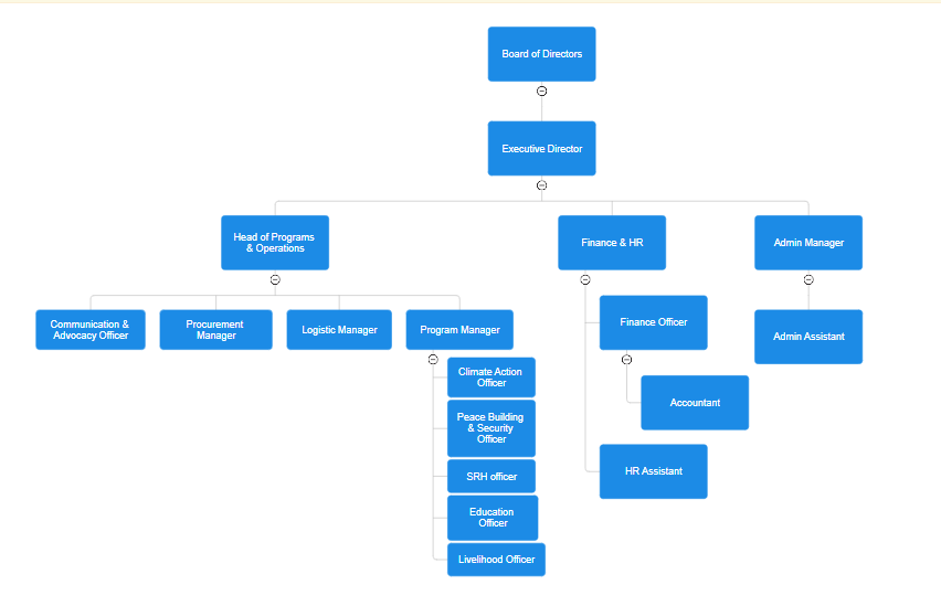 Governance Structure