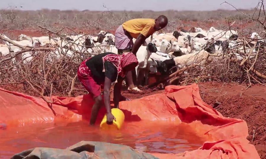 Climate Change and Environmental Conservation